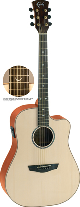 Faith Guitar